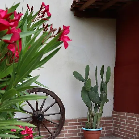 בית הארחה Al Muntisel Monticello d'Alba
